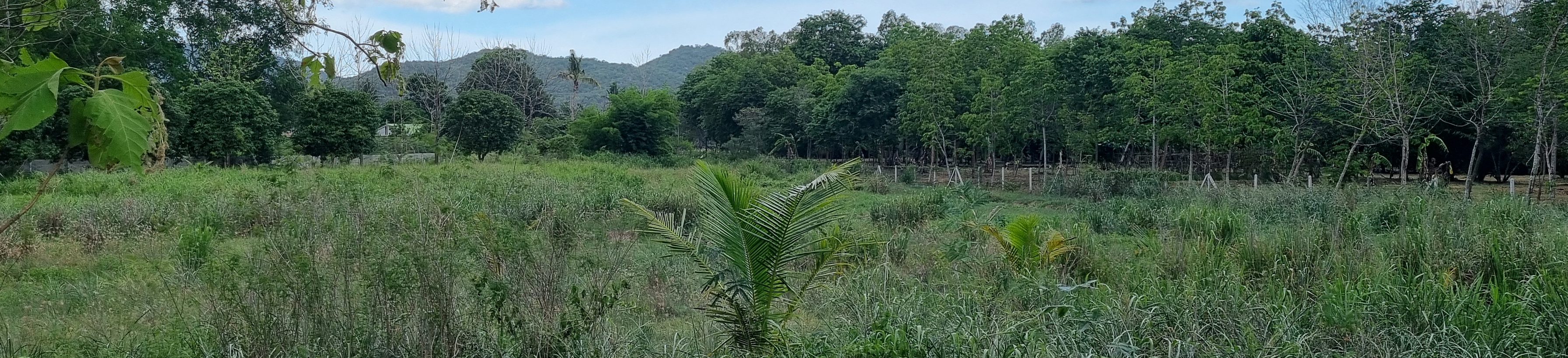 Leo-resort-la vista del río